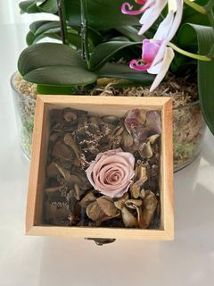 Preserved flower box