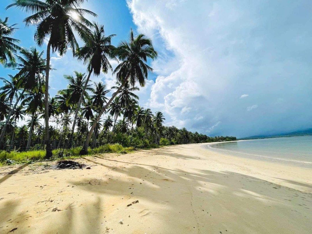 IN FRONT OF MEGAWORLD SAN VICENTE PALAWAN PRIME BEACH LOT, Property