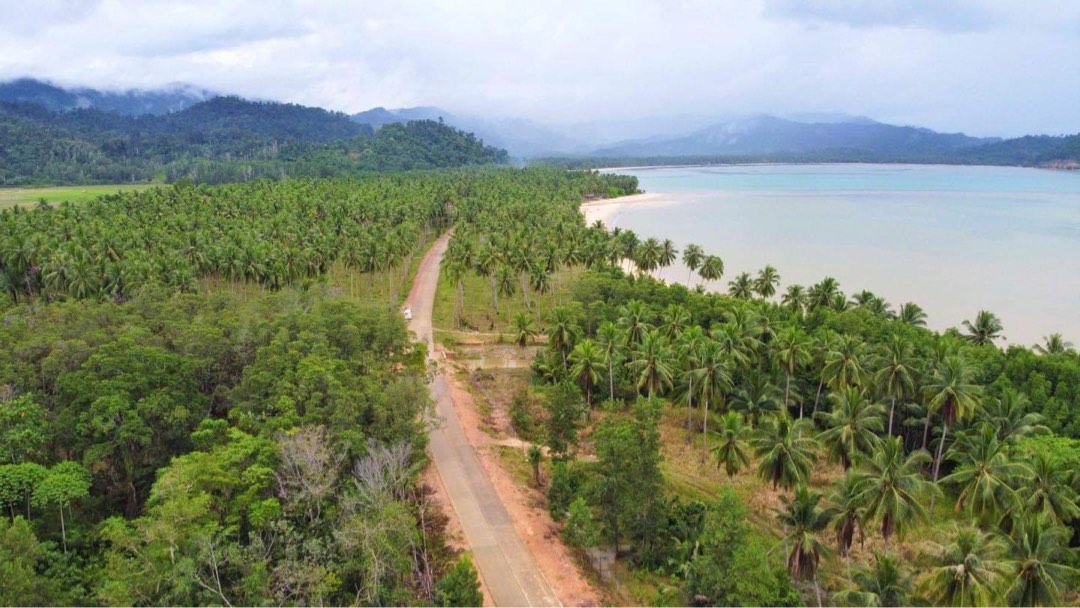 IN FRONT OF MEGAWORLD SAN VICENTE PALAWAN PRIME BEACH LOT, Property