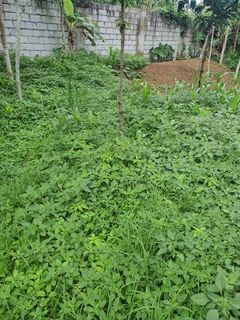 Tagaytay  lot for sale in Barrio Iruhin
