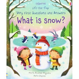 Preloved Buku Anak Children Book Usborne What is Snow Lift the Flap
