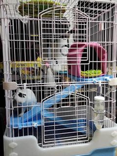 （分類：）位於 。 由 moqii 提交（商品編號 1216282161，圖片 1）。簡介： 。