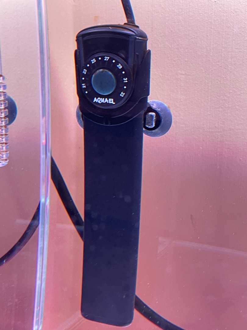 Aquael aquarium heater 100W, Pet Supplies, Homes & Other Pet