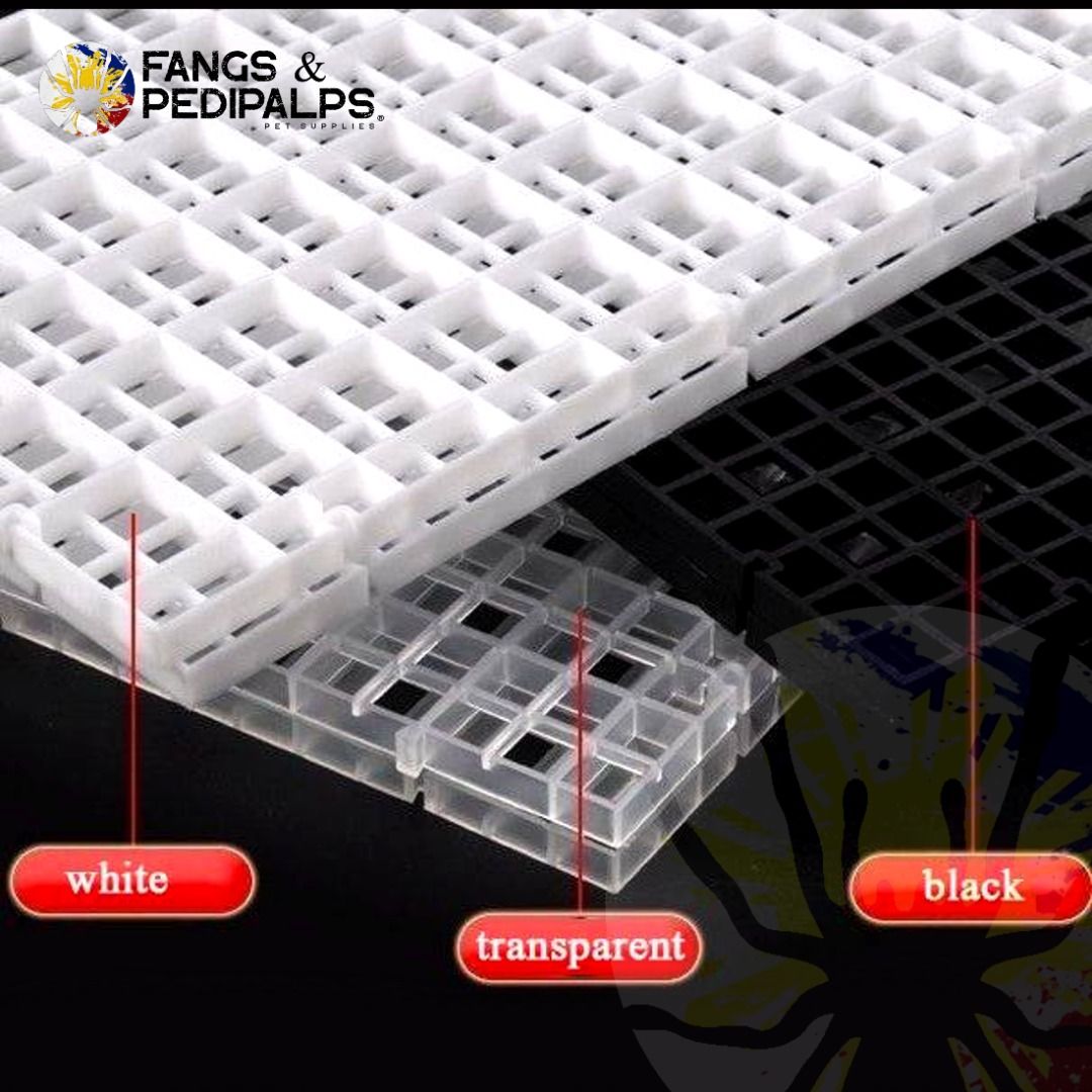 AQUARIUM DIVIDER GRID TRAY, Pet Supplies, Homes & Other Pet Accessories