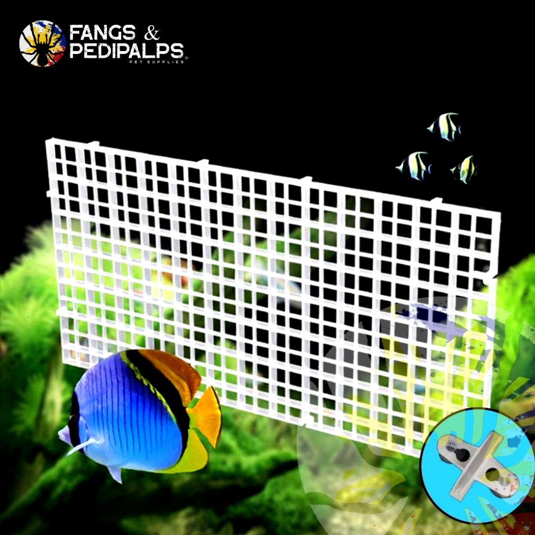 AQUARIUM DIVIDER GRID TRAY, Pet Supplies, Homes & Other Pet Accessories