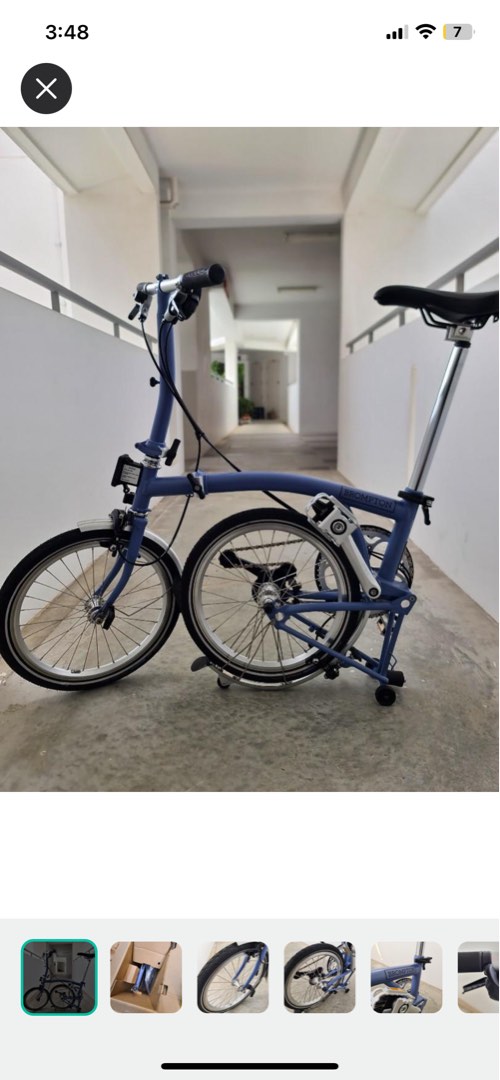 Happy owl on sale brompton