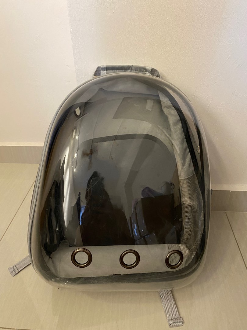 Cat backpack, Pet Supplies, Homes & Other Pet Accessories on Carousell