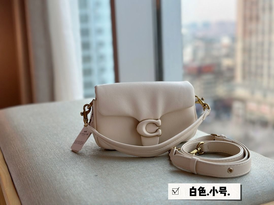 Cloud purse coach