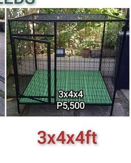 Dog Cage