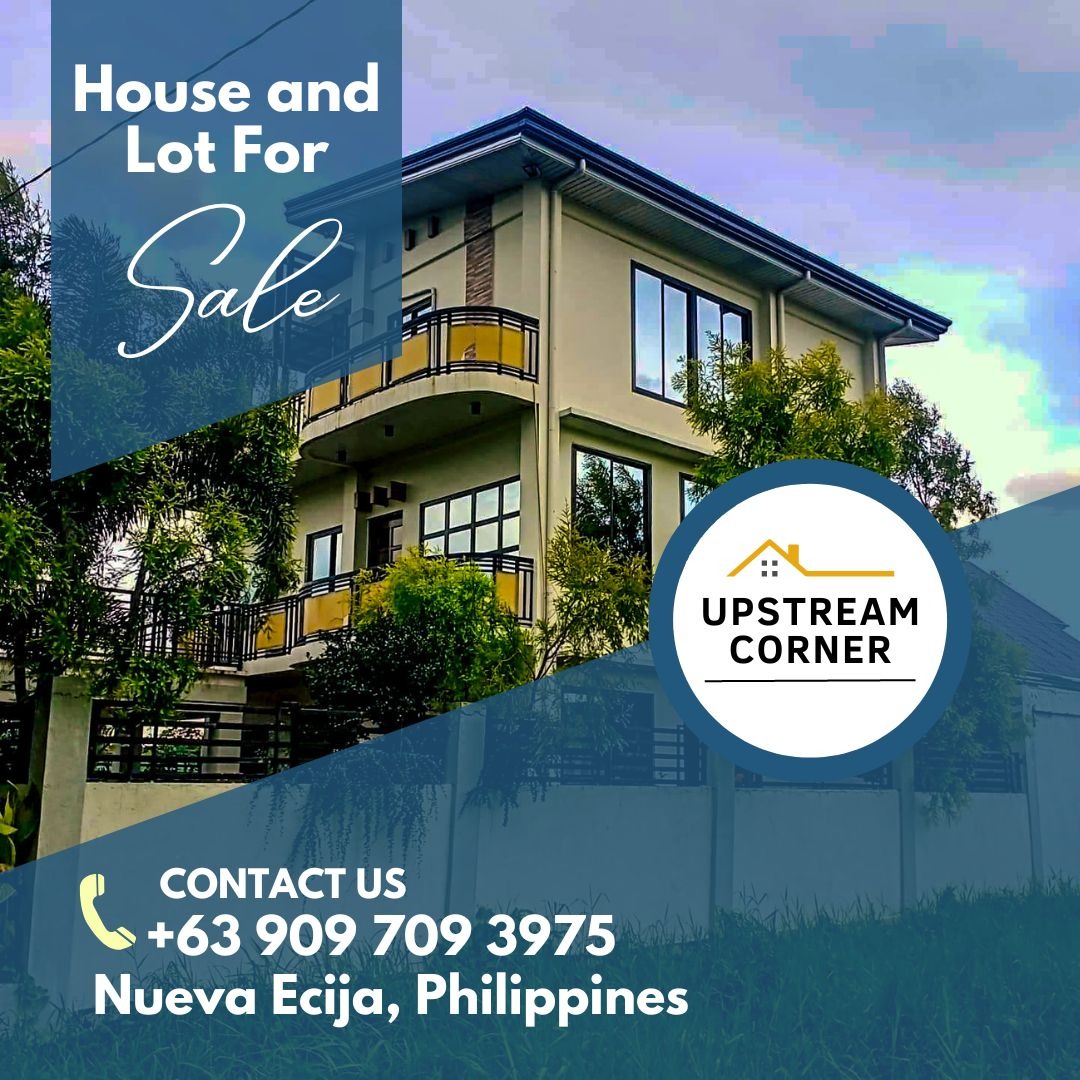 Gapan Nueva Ecija, Property, For Sale, House & Lot on Carousell