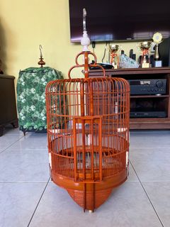 (Category: ) located in . Submitted by birdiespalace (Listing ID 1216382619, Image 1). Description: .