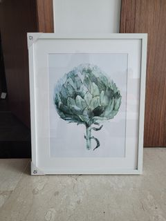 IKEA RIBBA White Large Frame 40x50cm + plant artichoke green Picture