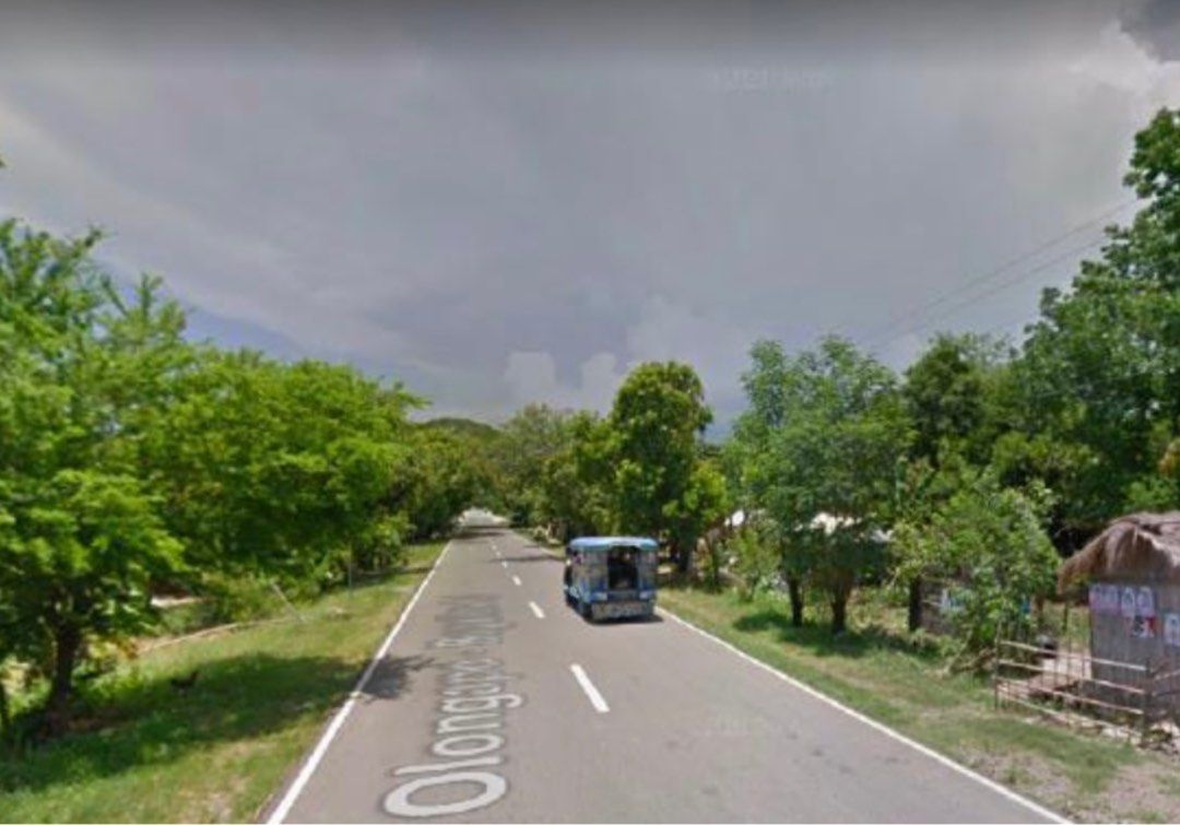 Infanta Pangasinan big lot for sale, Property, For Sale, Lot on Carousell