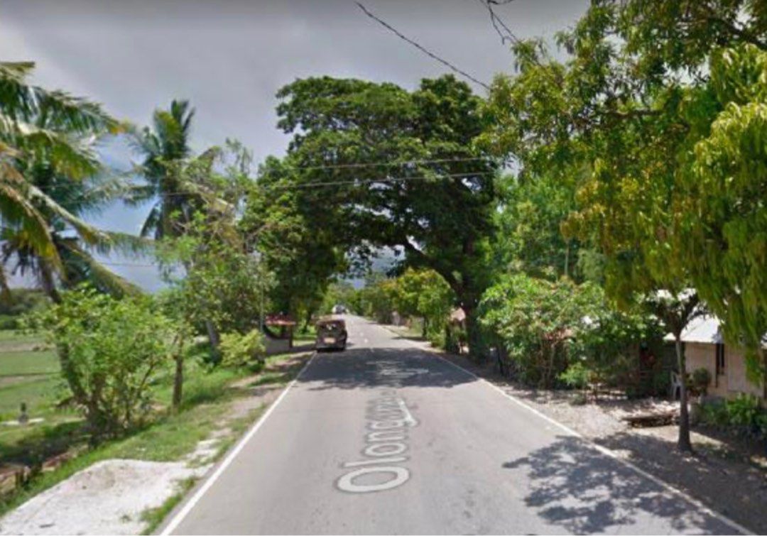 Infanta Pangasinan big lot for sale, Property, For Sale, Lot on Carousell