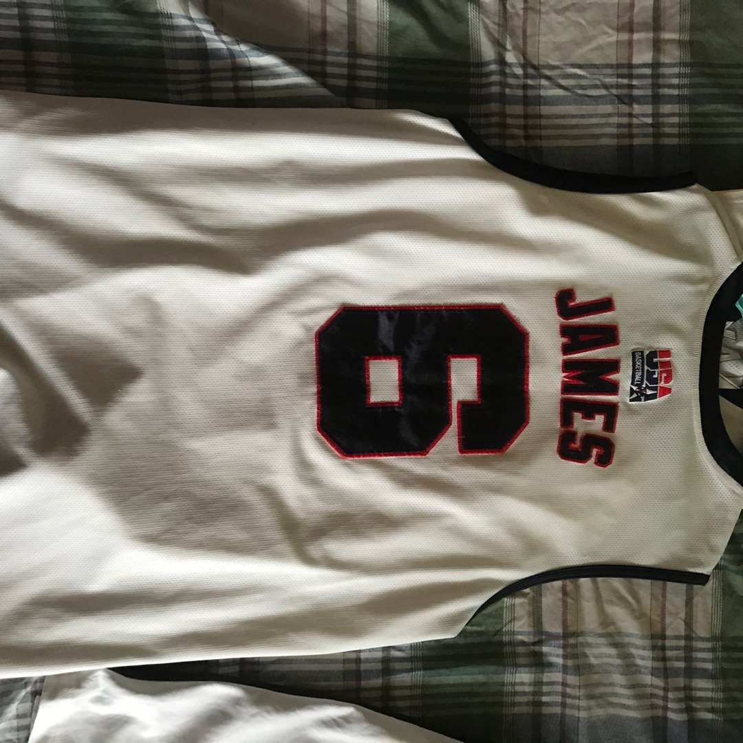 mens lebron jersey