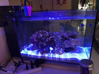 (Category: ) located in . Submitted by gohpatrick67 (Listing ID 1216389147, Image 1). Description: .