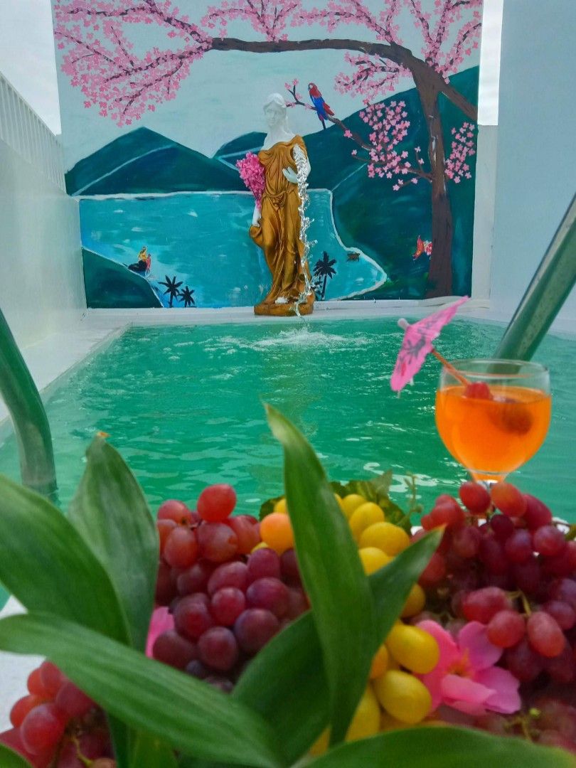 Paniqui Tarlac House & Lot on Carousell