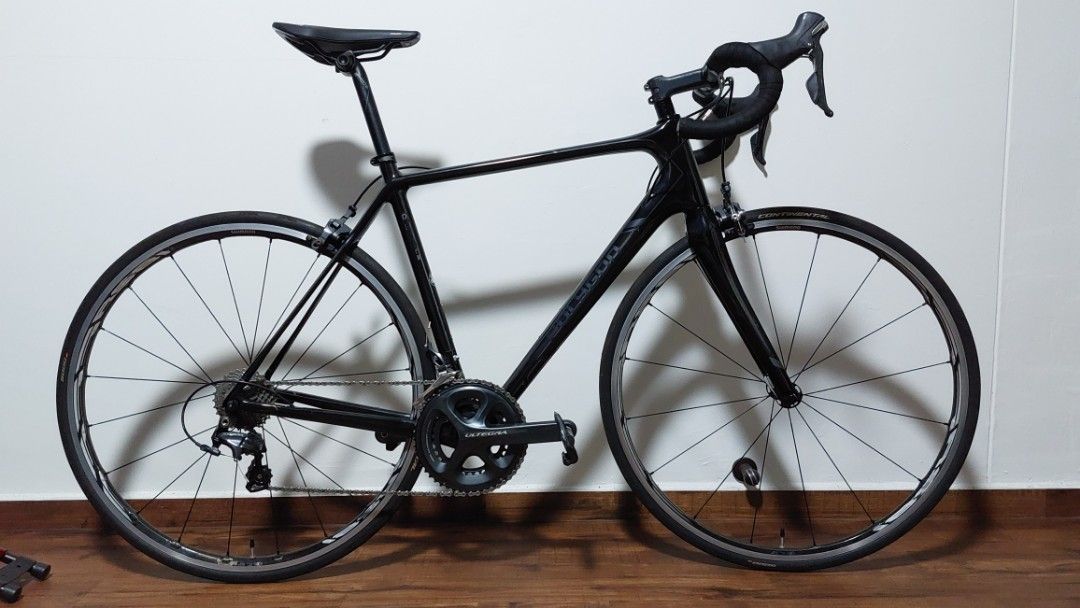 Polygon helios carbon store