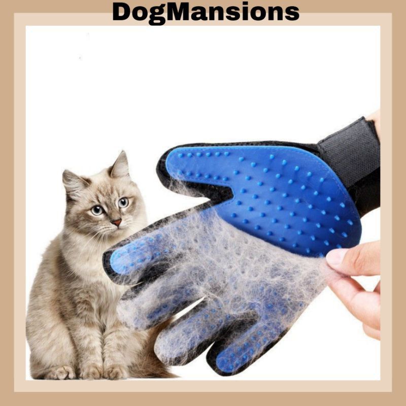 Cat outlet brush glove