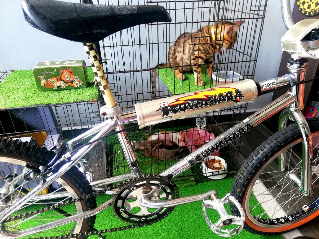 Kuwahara nova shop for sale