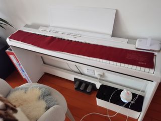 （分類：）位於 。 由 lesleyliu0010 提交（商品編號 1216373111，圖片 1）。簡介： 。
