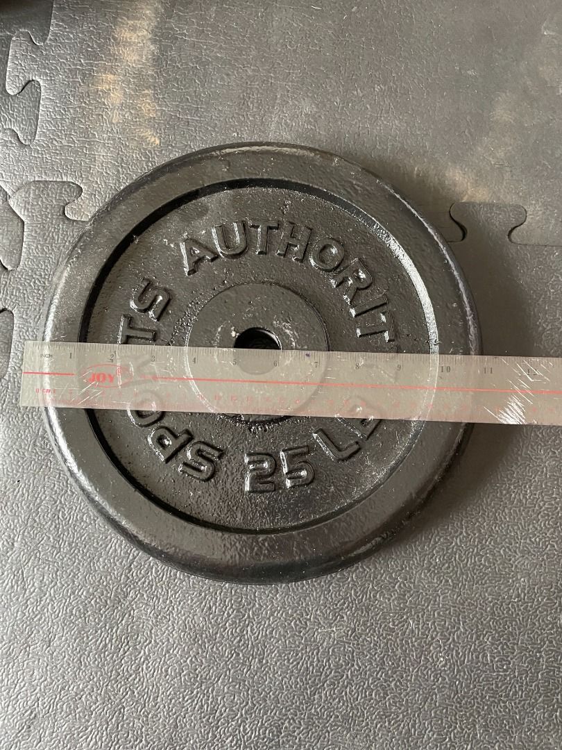 25 lbs (11.25kg) Standard Dumbell/Barbell Weights Plates on Carousell