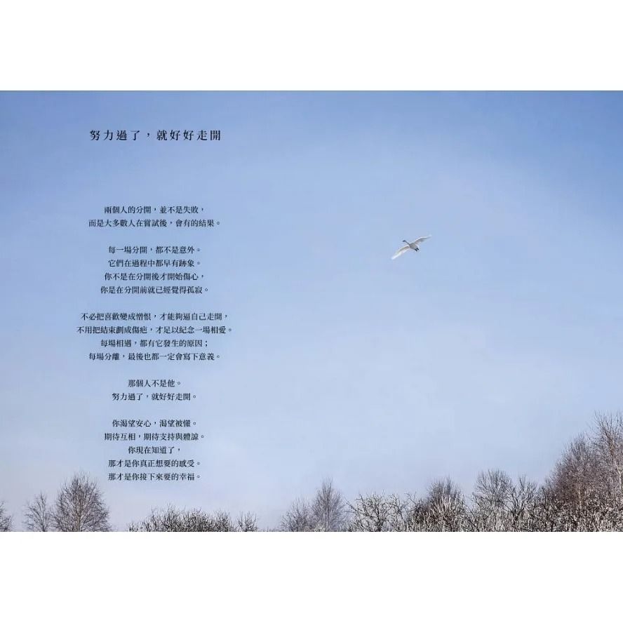 角子| 你會坦然面對，每一場告別| 兩性關係| 全新現貨, 興趣及遊戲, 書本& 文具, 小說及非小說- Carousell