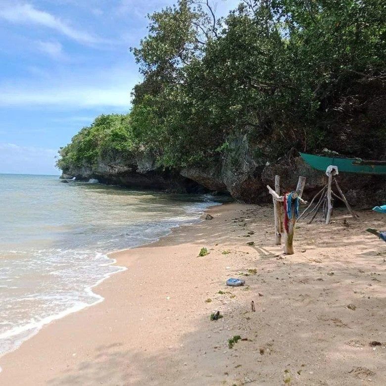 Affordable beach lot in Camotes Island Cebu Philippines, Property, For