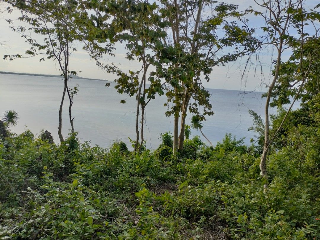 Affordable beach lot in Camotes Island Cebu Philippines, Property, For
