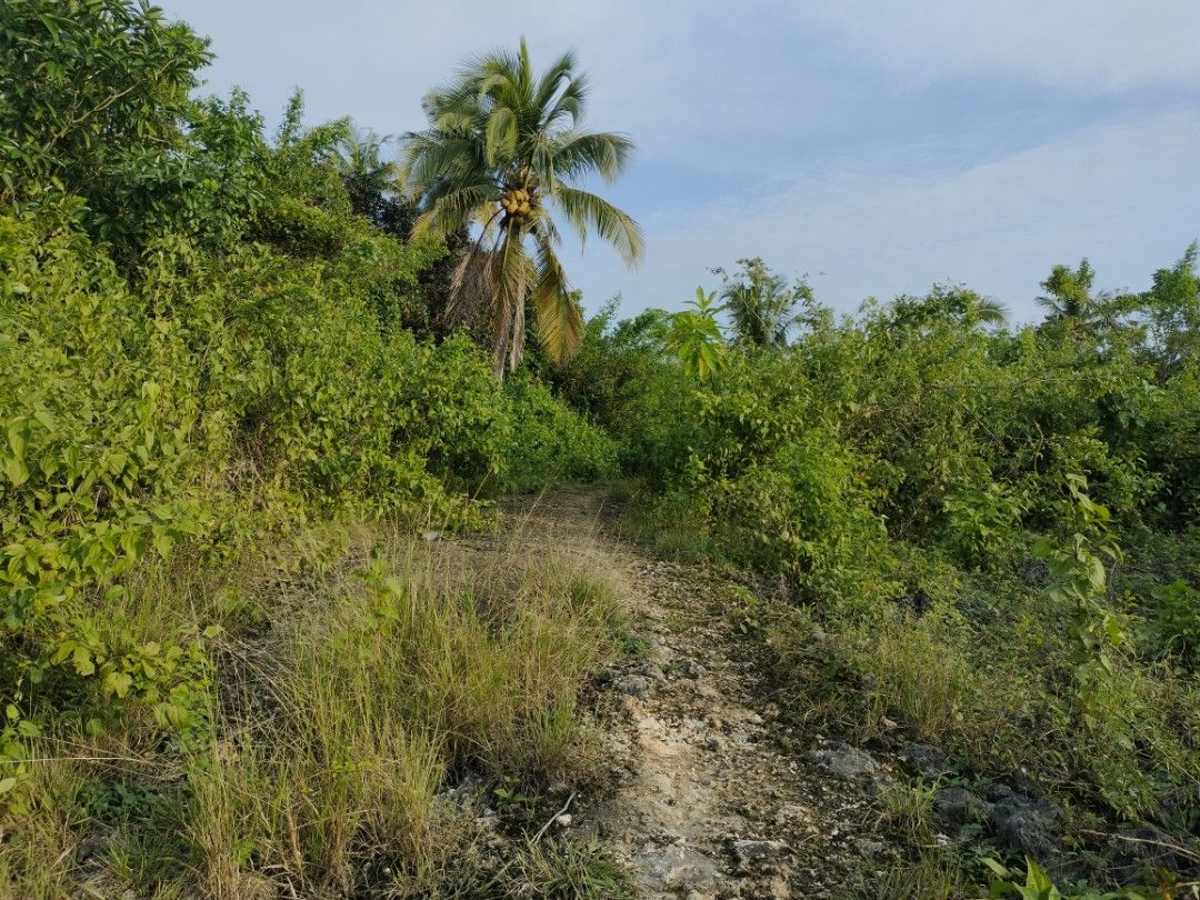 Affordable beach lot in Camotes Island Cebu Philippines, Property, For