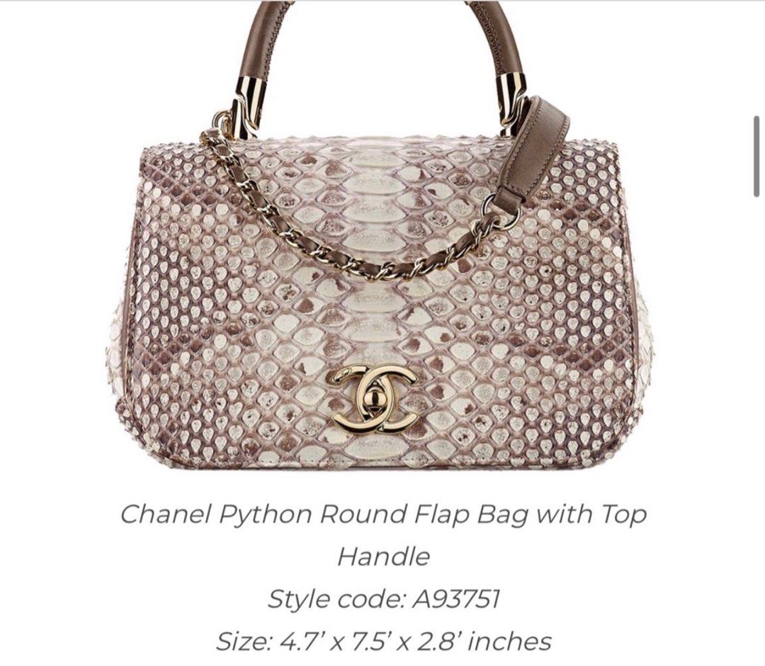 Chanel python cheap bag 2017