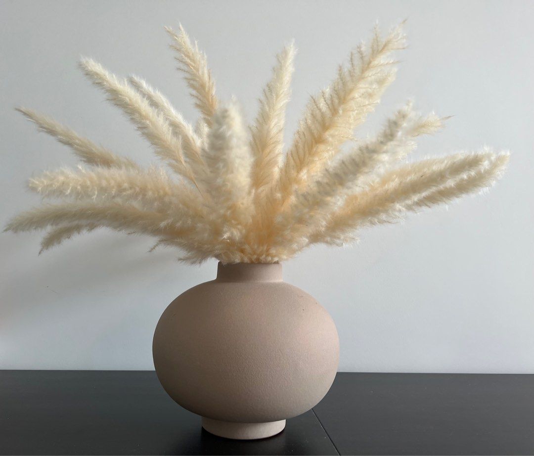Clay Vase with Pampas Grass, Furniture & Home Living, Home Decor, Vases