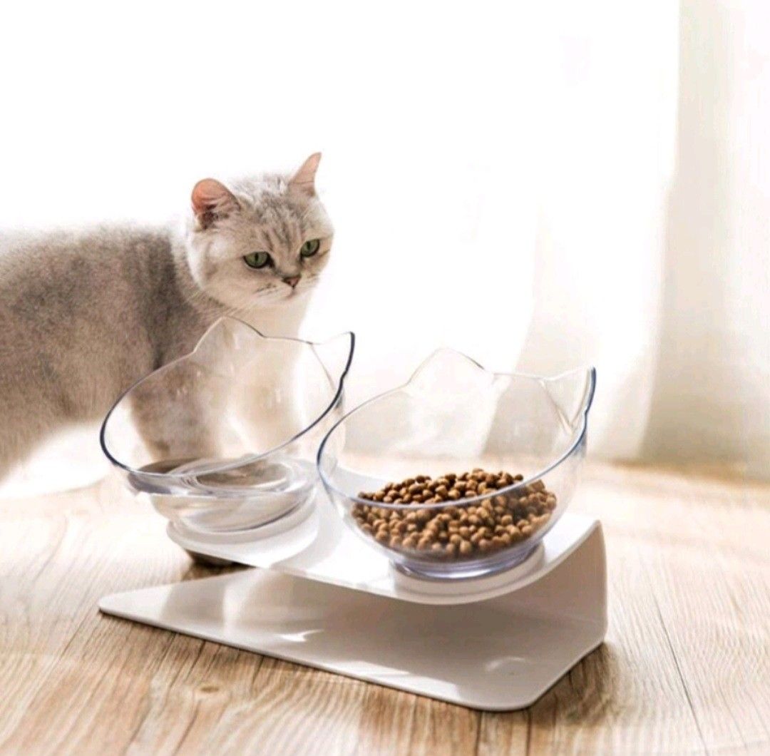 400ml Cat Bowl Raised No Slip Stainless Steel Elevated Stand Tilted Feeder  Bowls