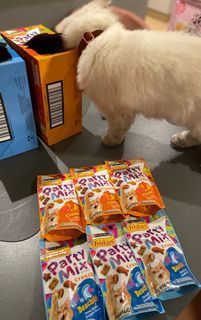 FRISKIES Party Mix Crunch