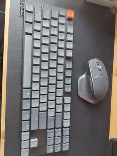 Keychron + Logitech MX Master