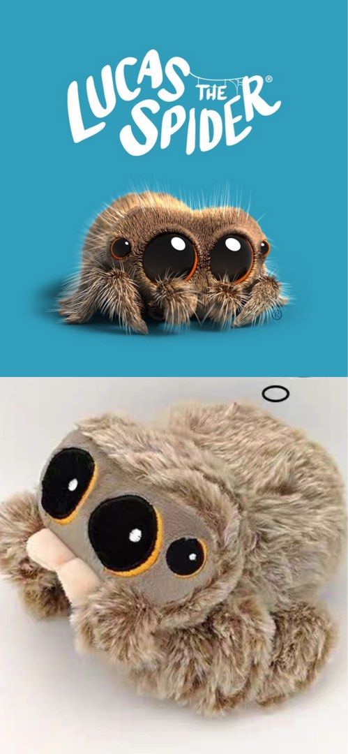 Lucas The Spider Furry Soft Toy Plush Hobbies Toys Toys