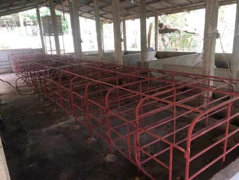 Piggery Farm/Hog Farm with Duplex House for Sale on Carousell