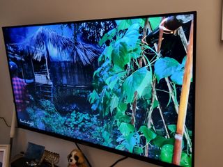 (Category: ) located in . Submitted by nat55 (Listing ID 1216573454, Image 1). Description: .