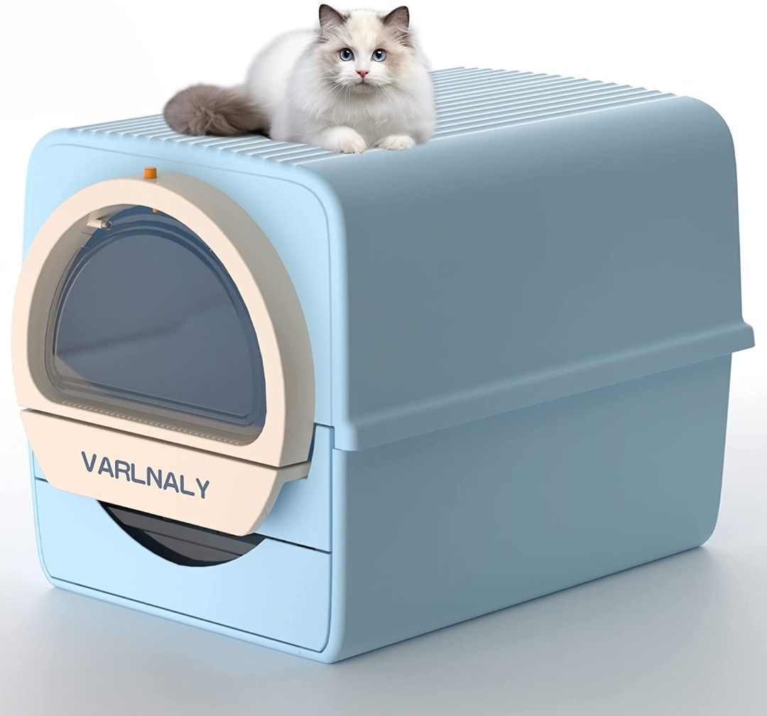 Electric cat shop litter box