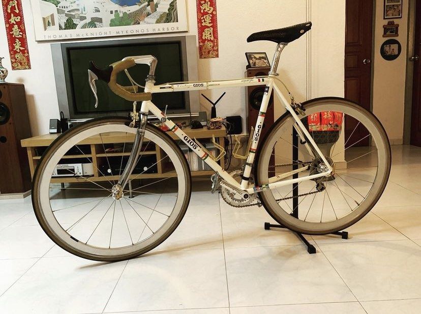 Vintage Gios