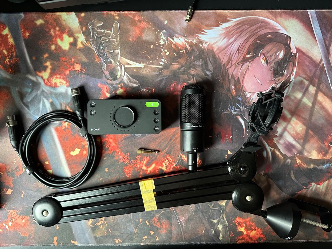 XLR Microphone Setup, Audio, Other Audio Equipment on Carousell