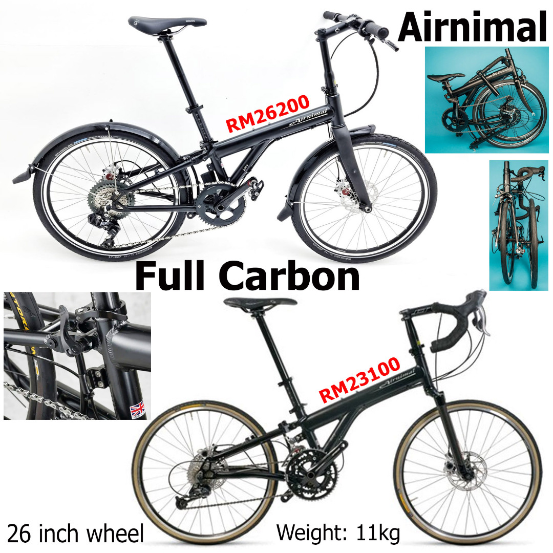 Airnimal Bicycle Bike Foldable Electric Ebike, Sports Equipment