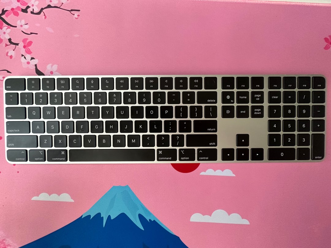 apple-magic-keyboard-with-touchid-on-carousell