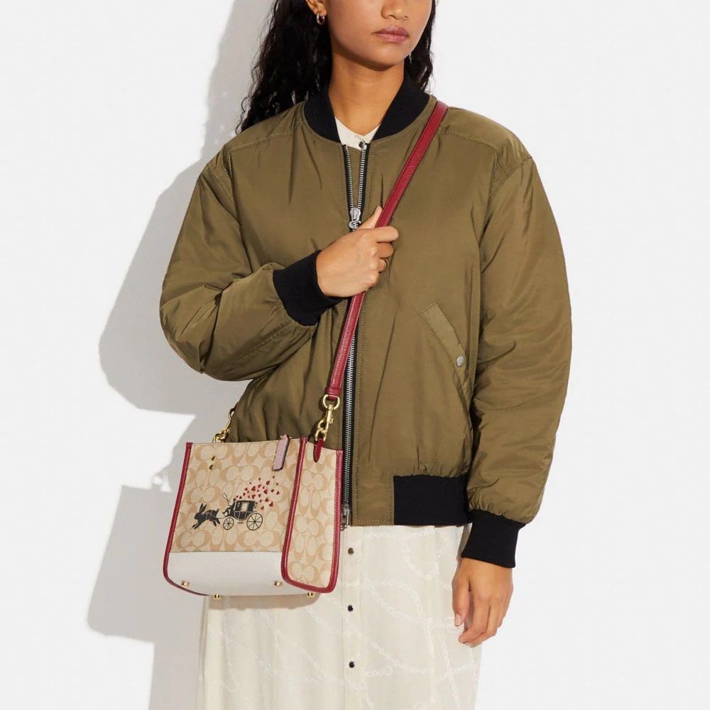 Coach New Rabbit X Carriage Tote Bag, Women's Fashion, Bags & Wallets ...