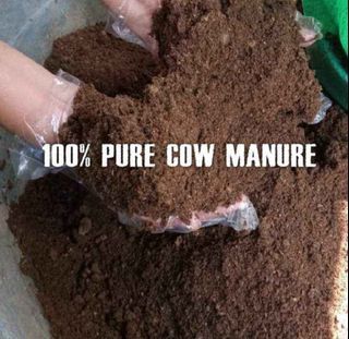 Cow Manure Fertilizer, Organic