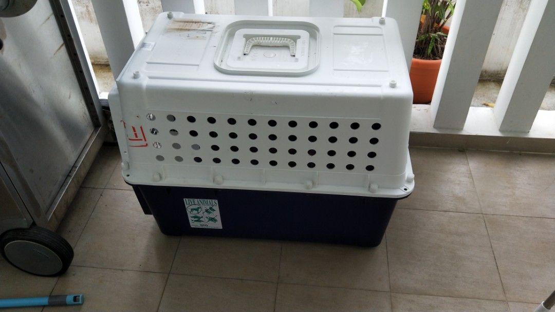 Dog Crate PP40, Pet Supplies, Homes & Other Pet Accessories on Carousell