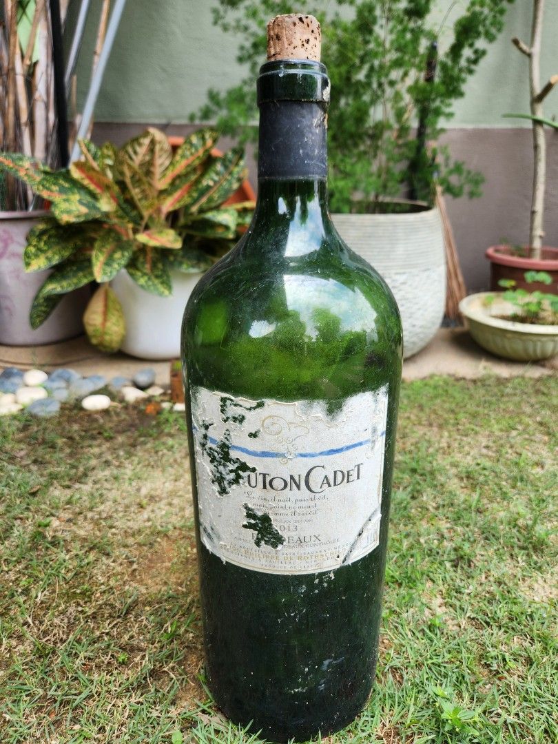 Extra Large collectible Wine Bottle, Hobbies & Toys, Collectibles