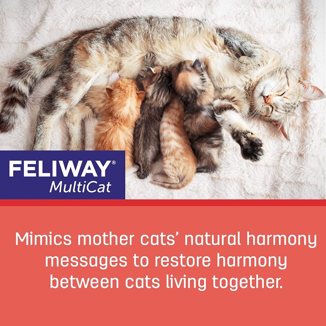 FELIWAY Classic Cat Calming Pheromone, 30 Day Refill - 1 Pack