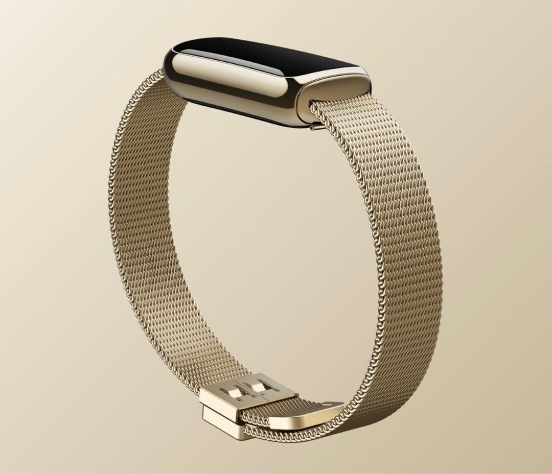 Fitbit stainless steel mesh band discount
