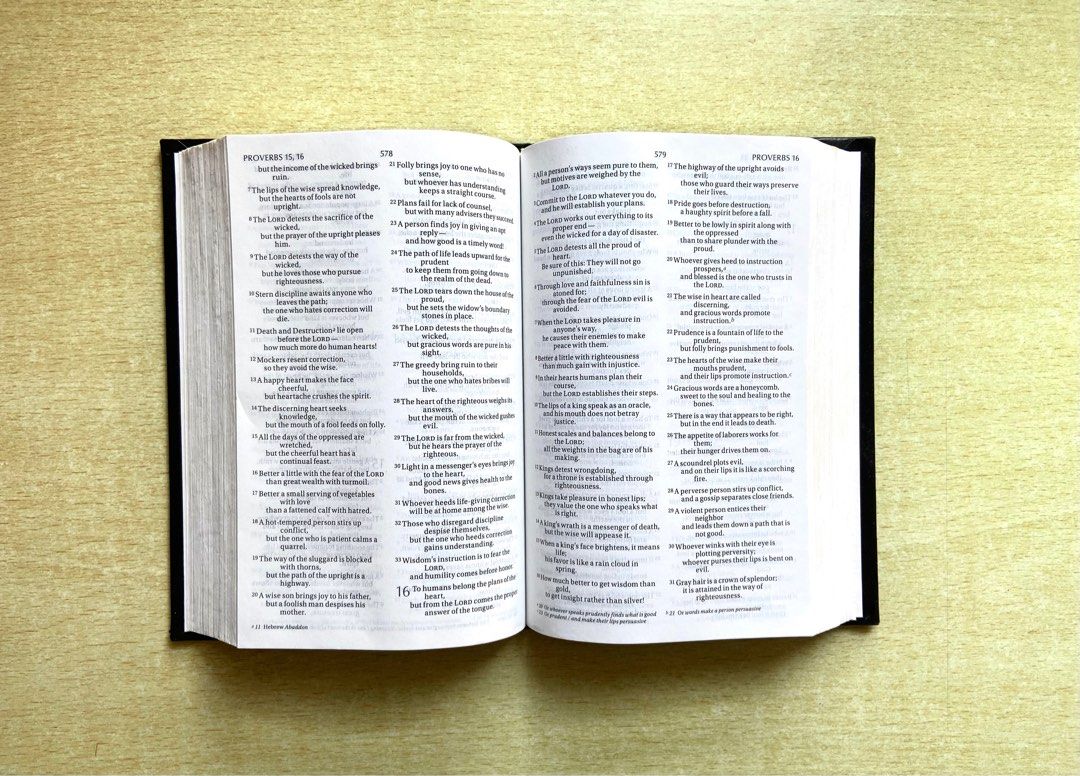激安挑戦中 HOLY BIBLE NIV 聖書 英語 ecousarecycling.com